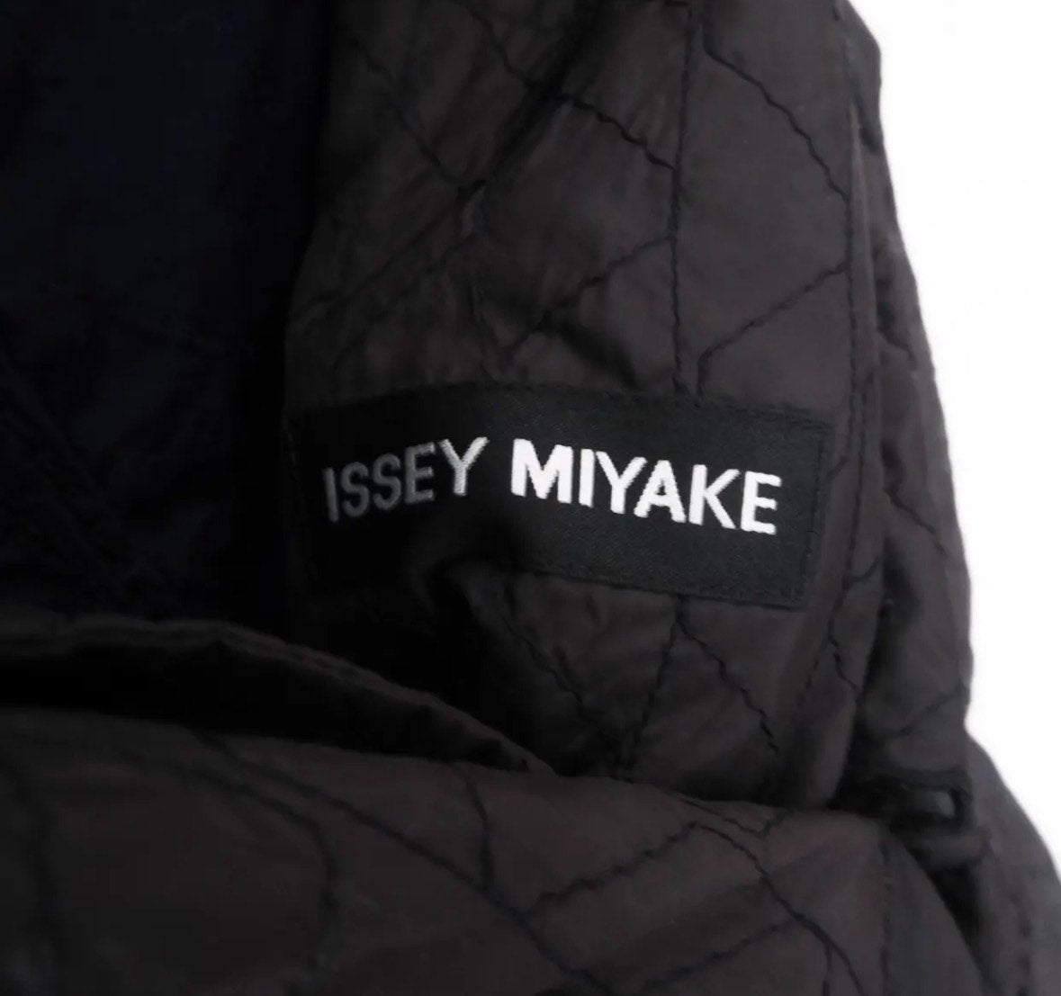 Issey Miyake SS10 Pleated Suit Jacket