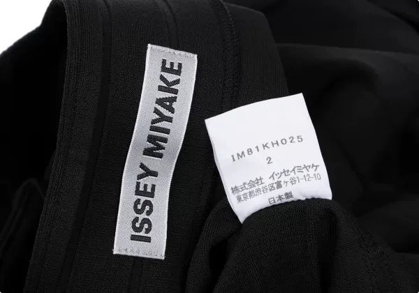 Issey Miyake Vintage Black Pleated Dress