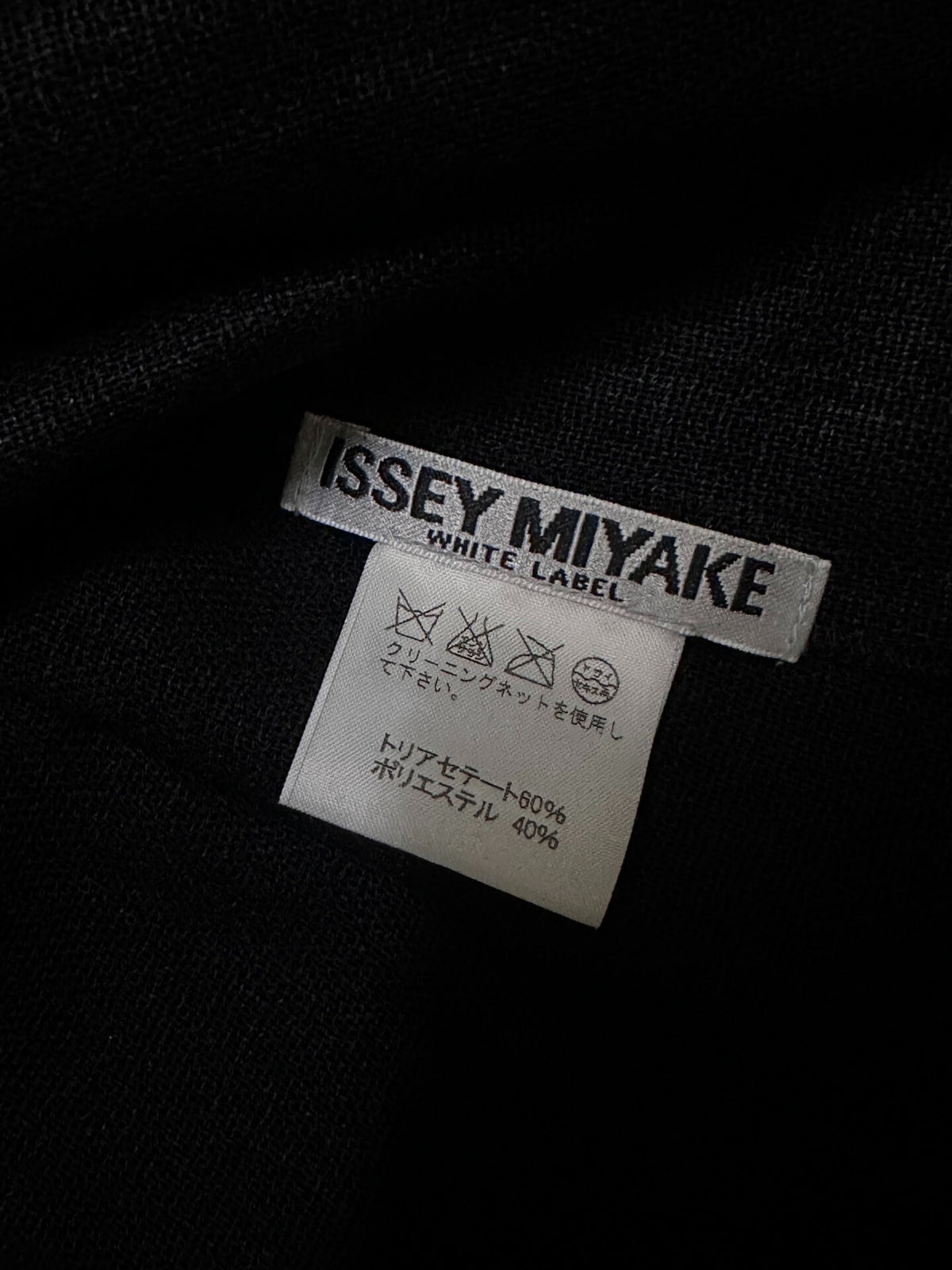 Issey Miyake Pleated Jacket