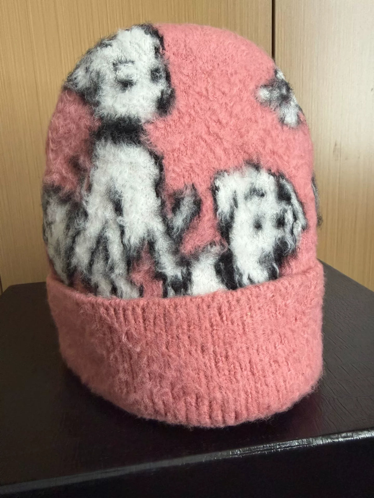 Celine SS22 Amy Dorian Knit Dog Beanie