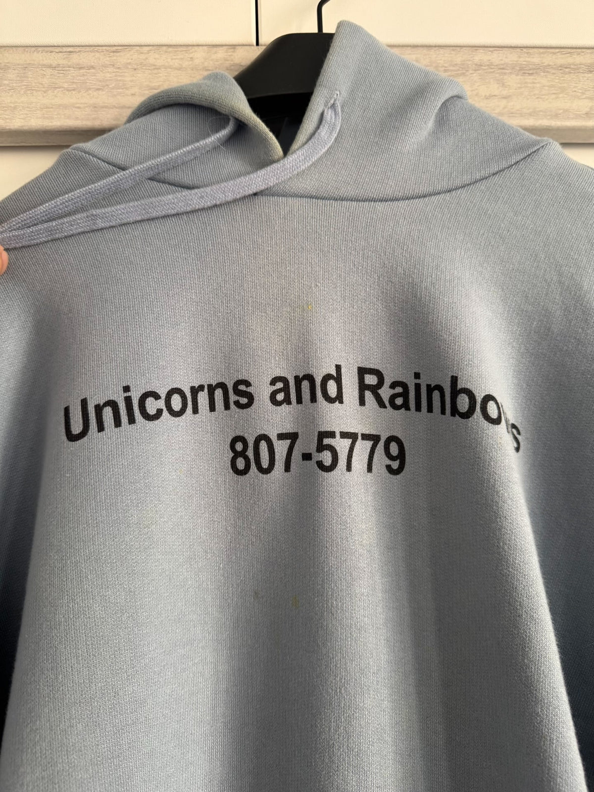 Vetements Blue Unicorn Hoodie