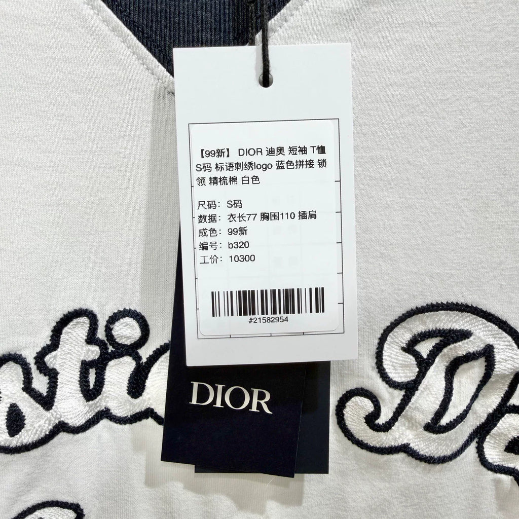 Dior Slogan Embroidered Logo Blue Color-Block Cotton Short Sleeve T-Shirt