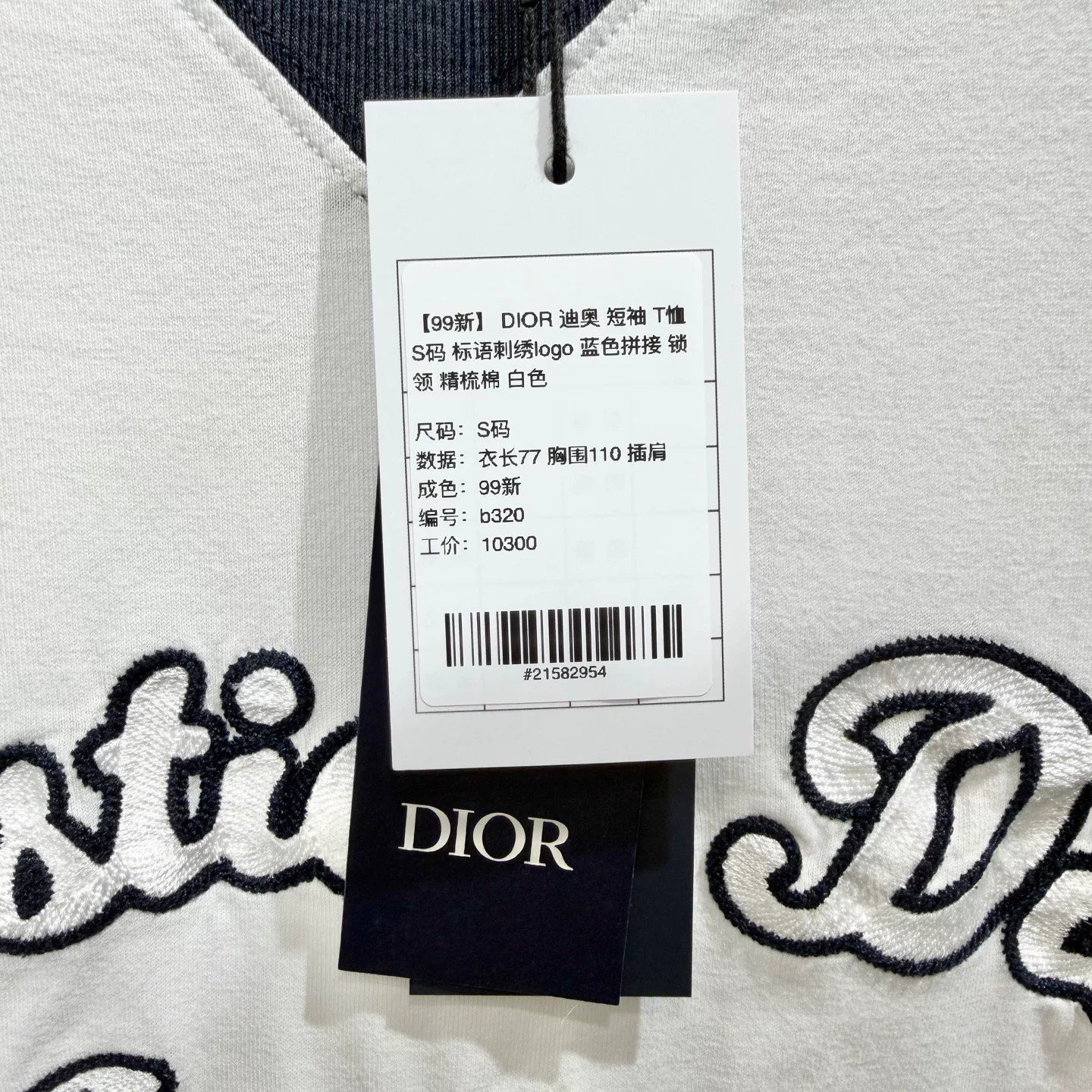 Dior Slogan Embroidered Logo Blue Color-Block Cotton Short Sleeve T-Shirt