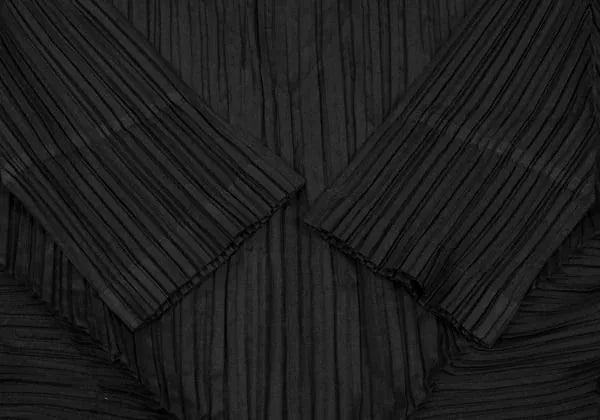 Issey Miyake Vintage Black Pleated Top