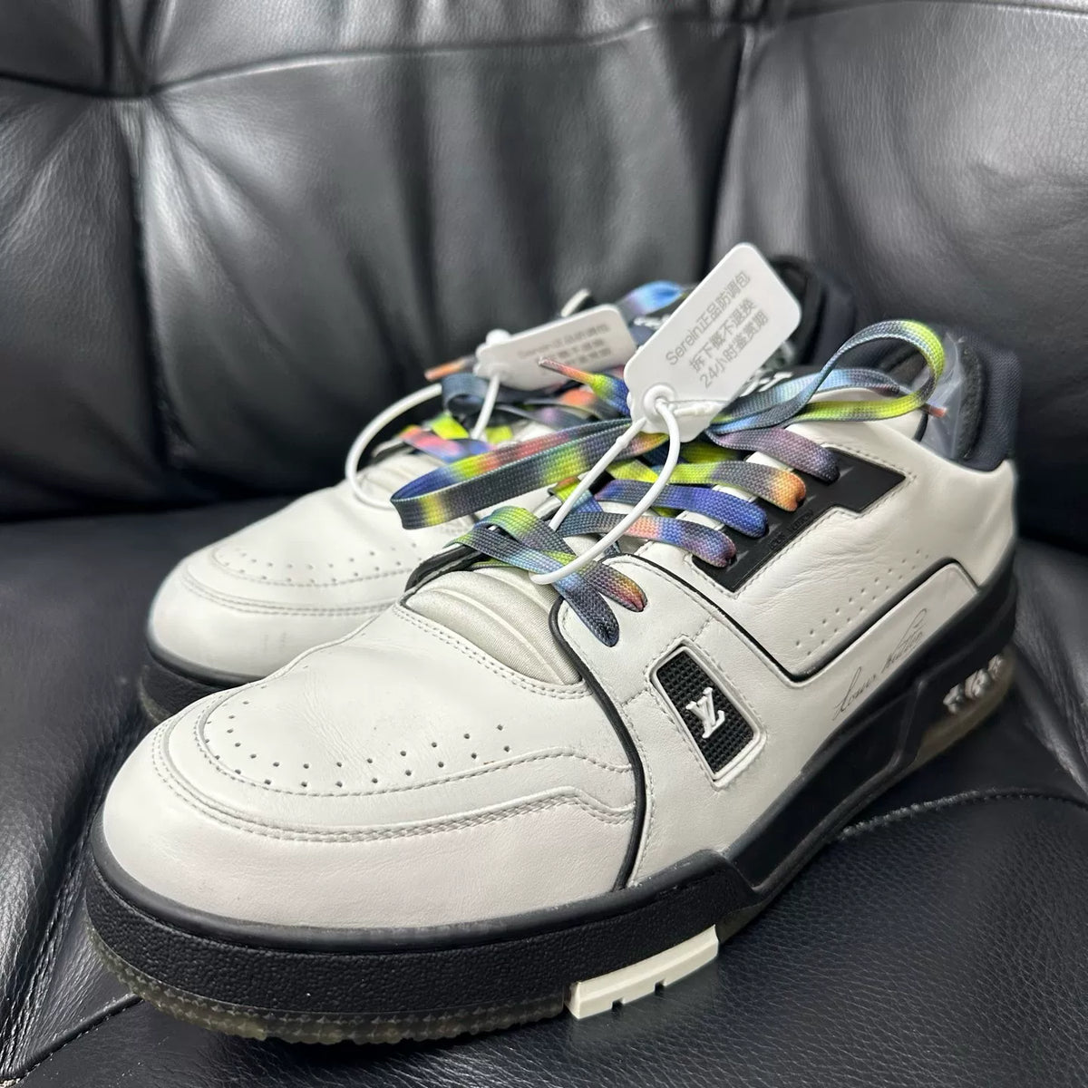Louis Vuitton Leather Low-Top Trainer Sneakers