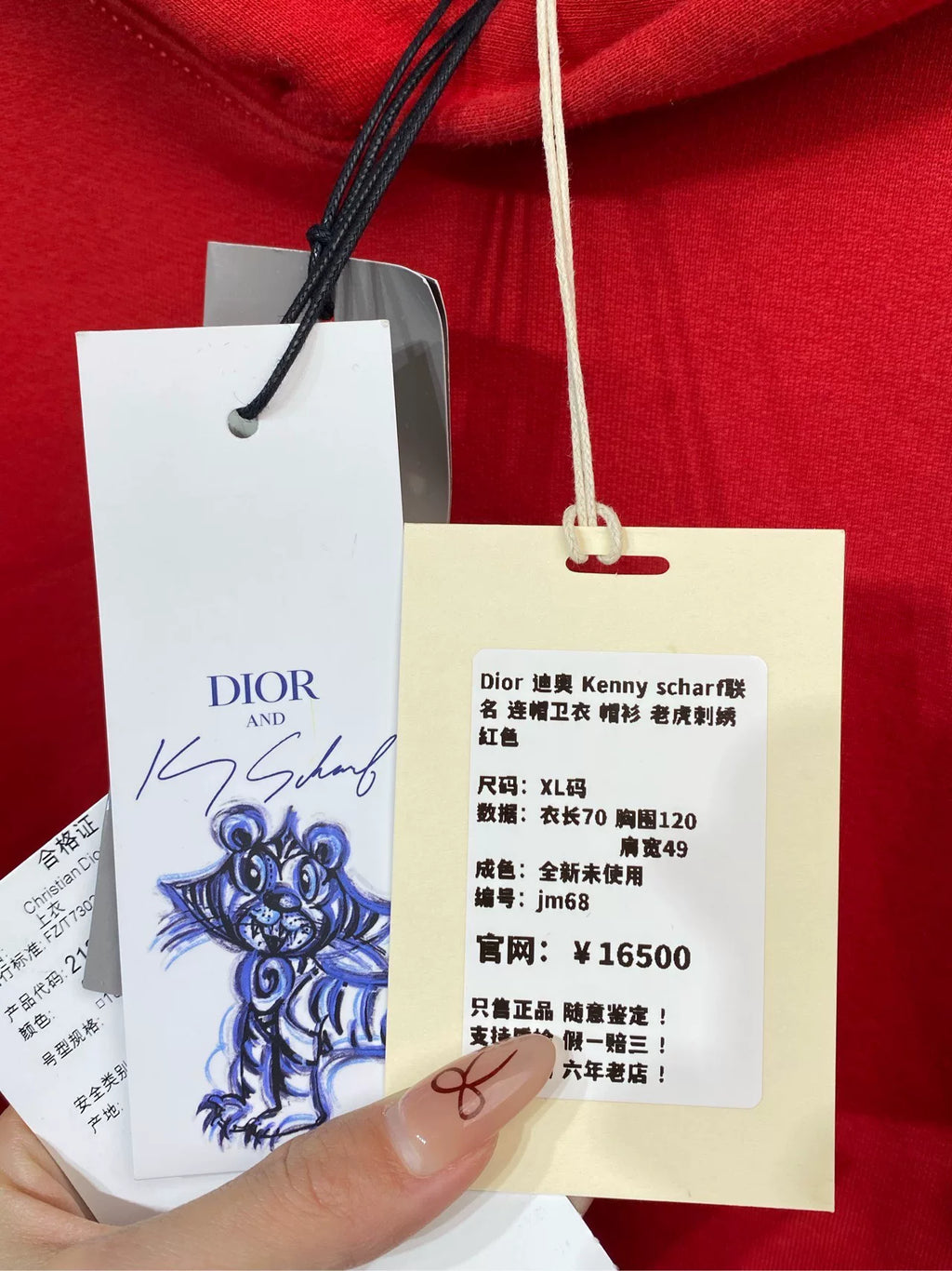 Dior Kenny Scharf Hooded Embroidered Red Hoodie