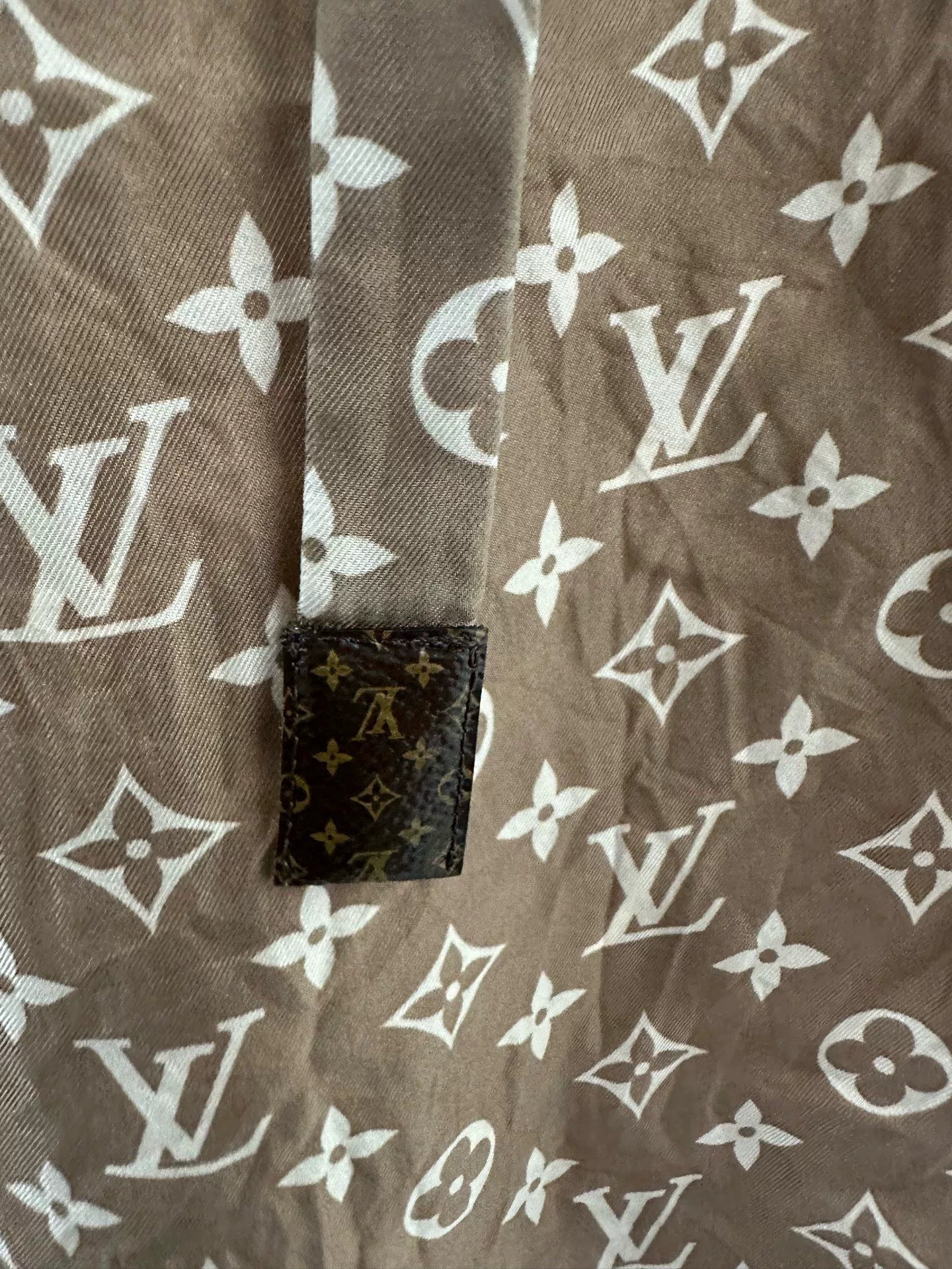Louis Vuitton Monogram All-Over Print Pants