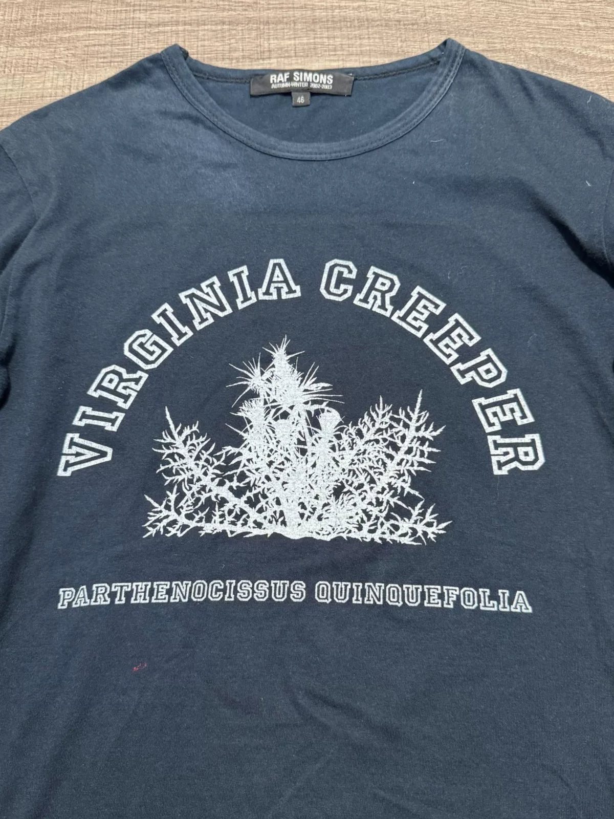 Raf Simons AW02 “virginia Creeper” Long Sleeve Tee