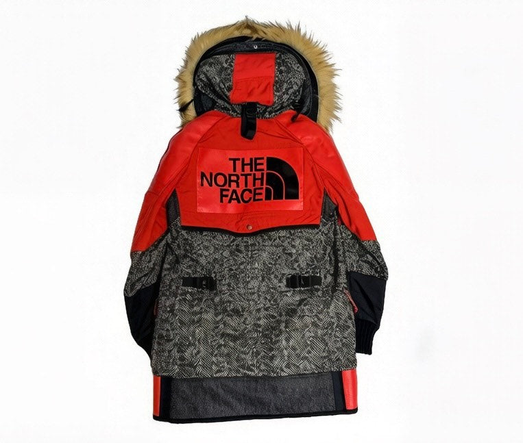 Comme Des Garcons Man North Face Parka