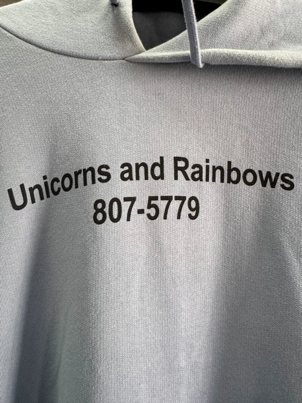 Vetements Blue Unicorn Hoodie