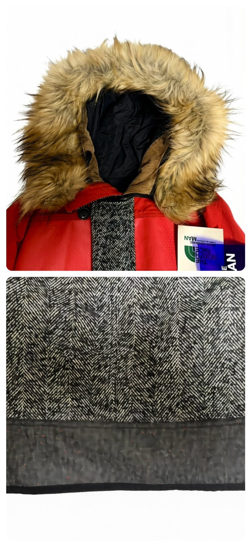 Comme Des Garcons Man North Face Parka