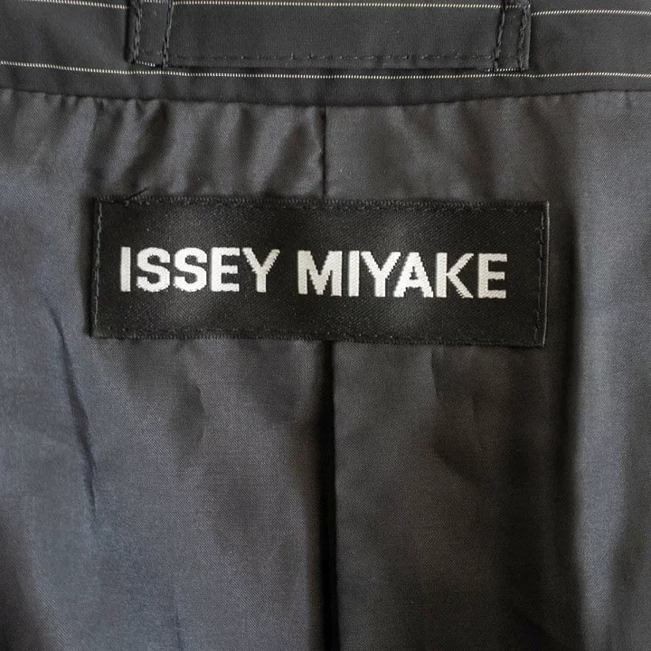 Issey Miyake SS07 Striped Coat