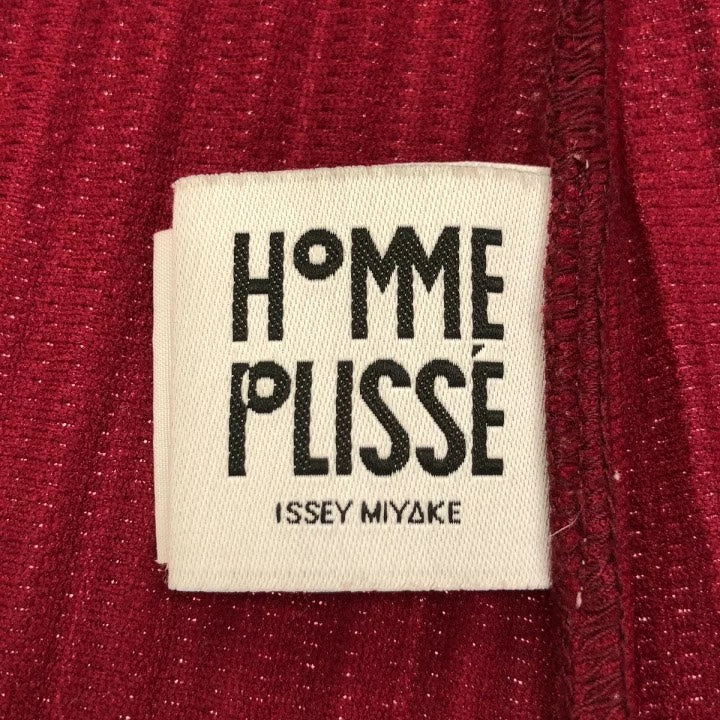 Issey Miyake AW19 Hooded Pleated Coat
