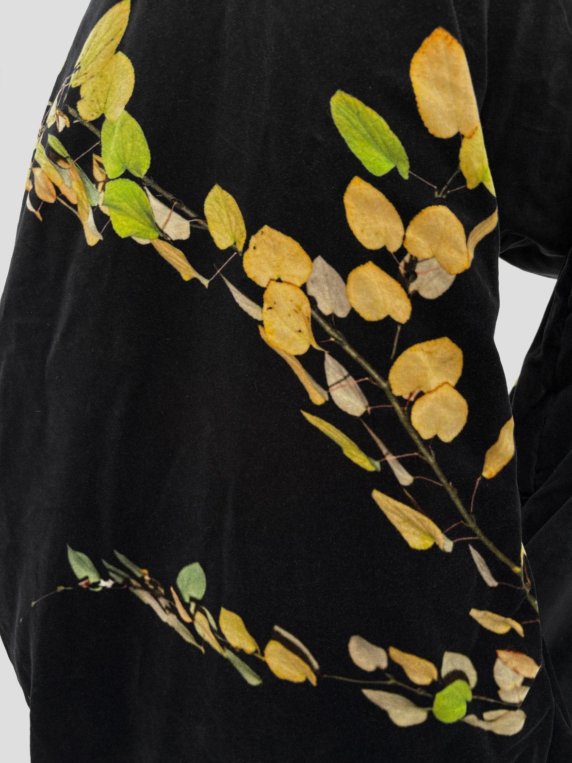 Dries van Noten AW19 Velvet Shawl
