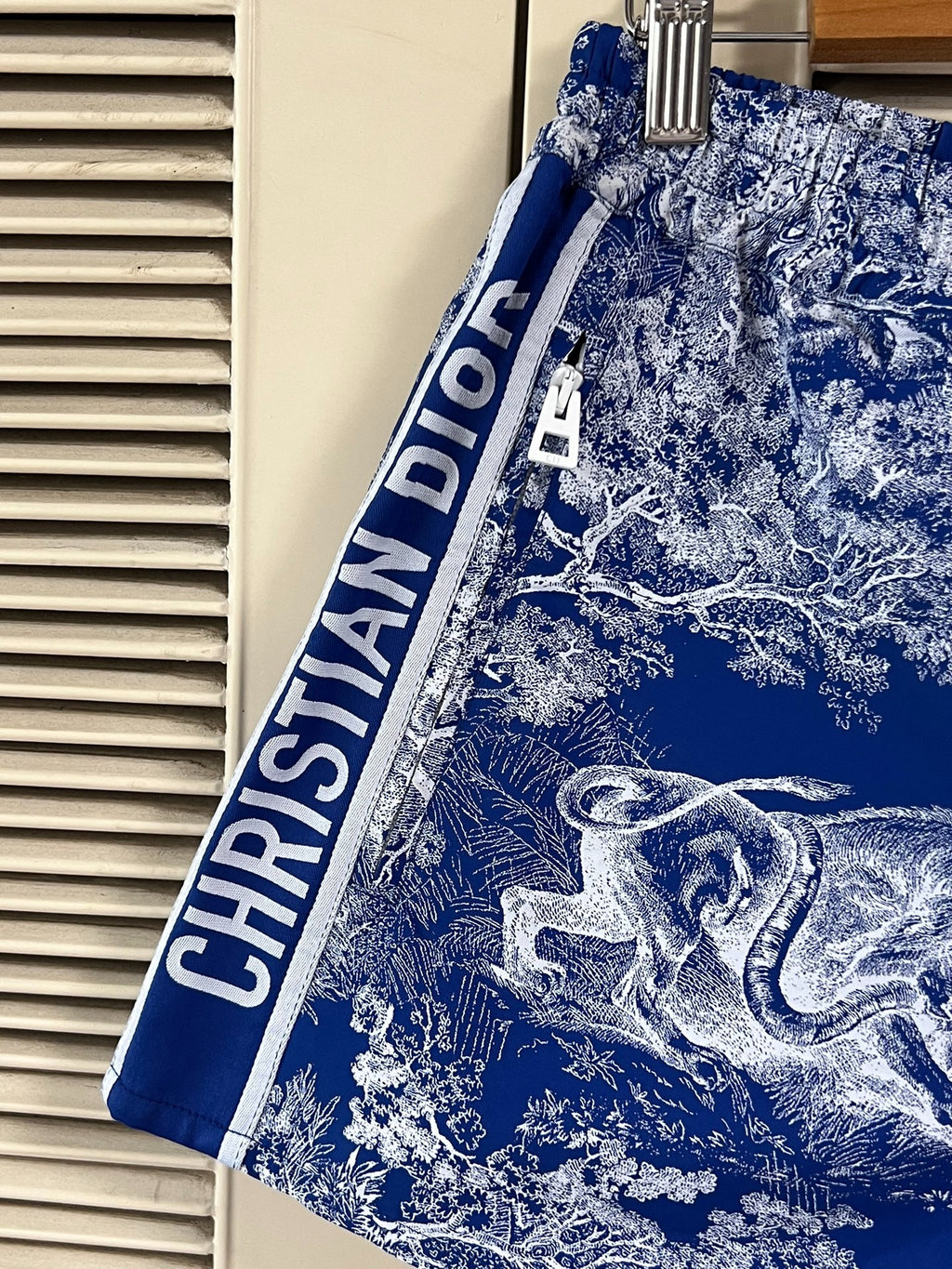Dior Zoo Print Shorts