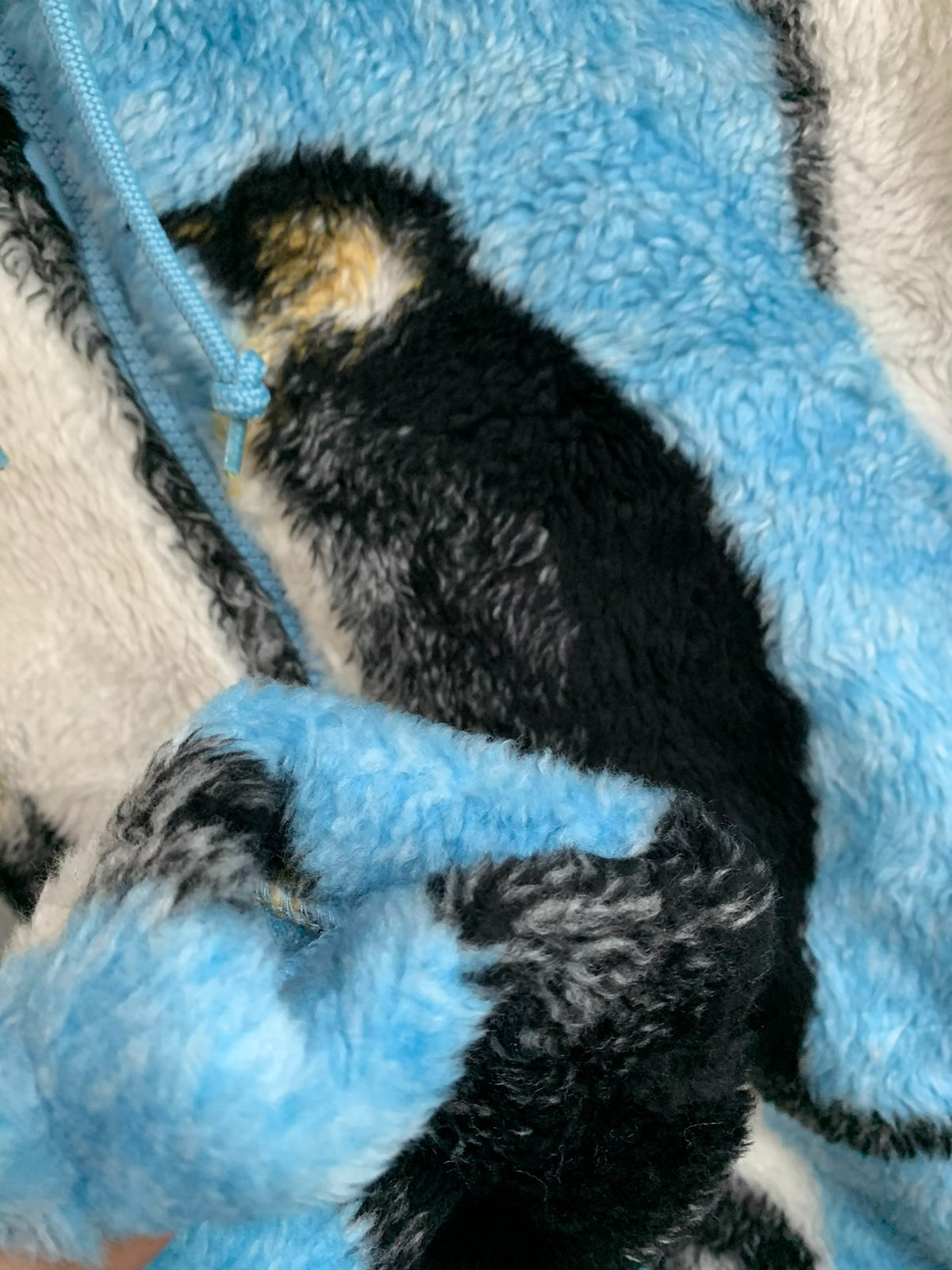 Supreme FW20 Blue Week3 Penguins Hooded Fleece Jacket