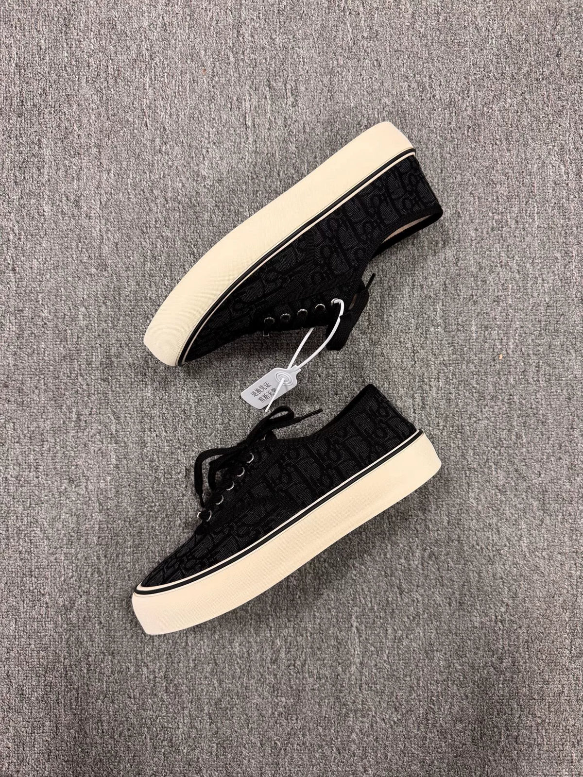 Dior Saltwind Vintage Canvas Sneakers