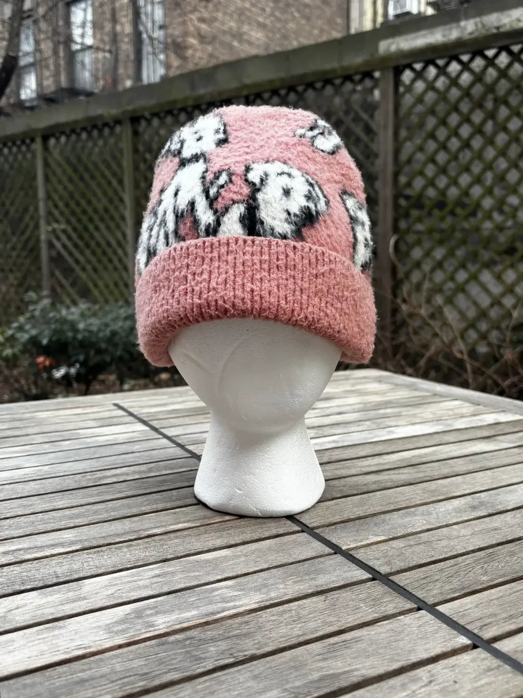 Celine SS22 Amy Dorian Knit Dog Beanie