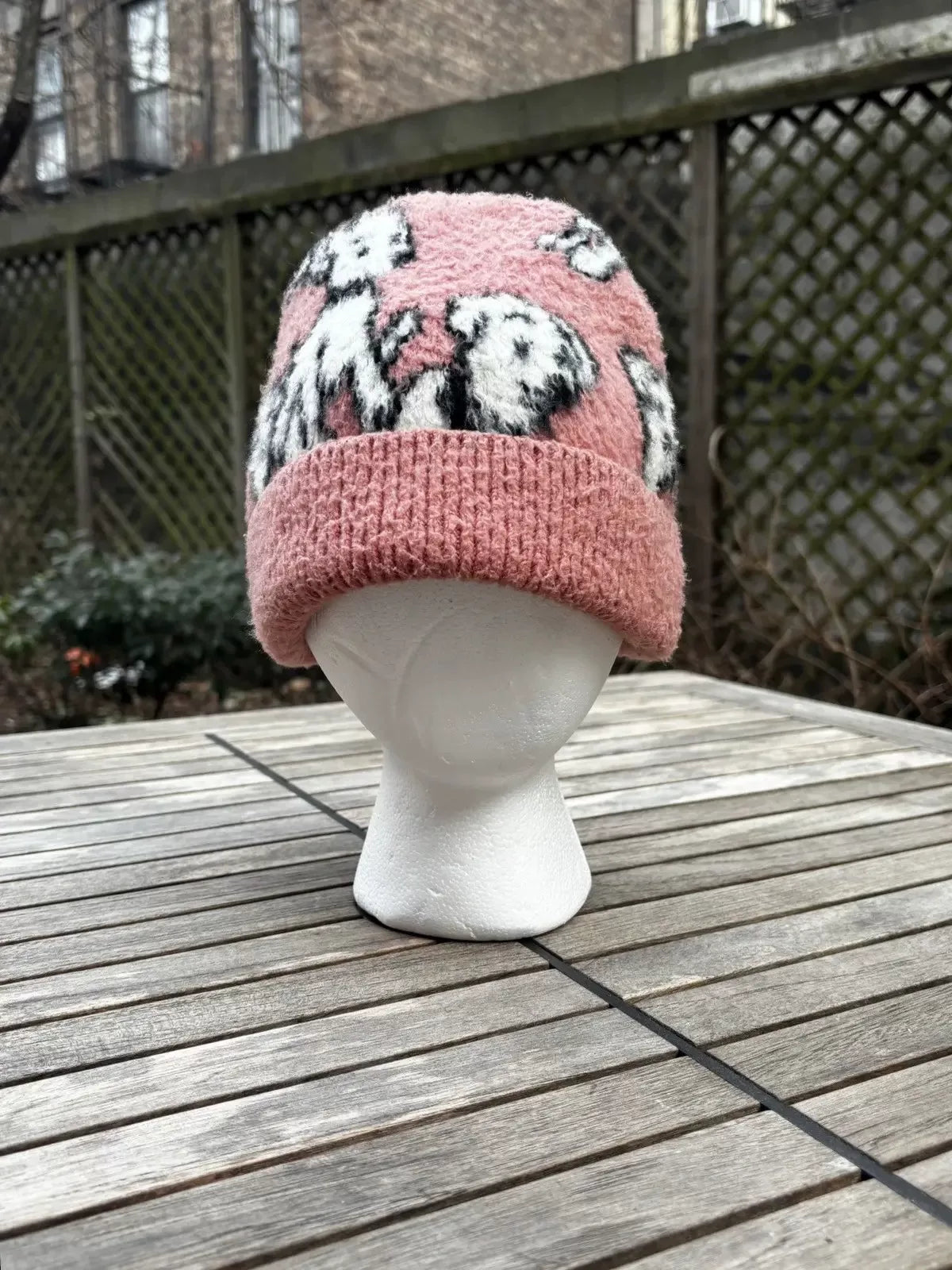 Celine SS22 Amy Dorian Knit Dog Beanie