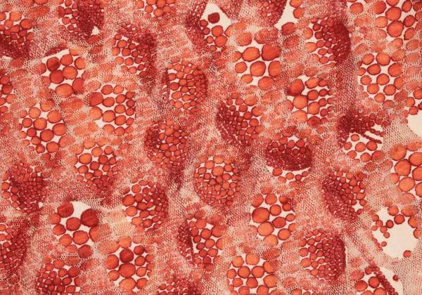 Jean Paul Gaultier Vintage Red Polka Dot Mesh Top