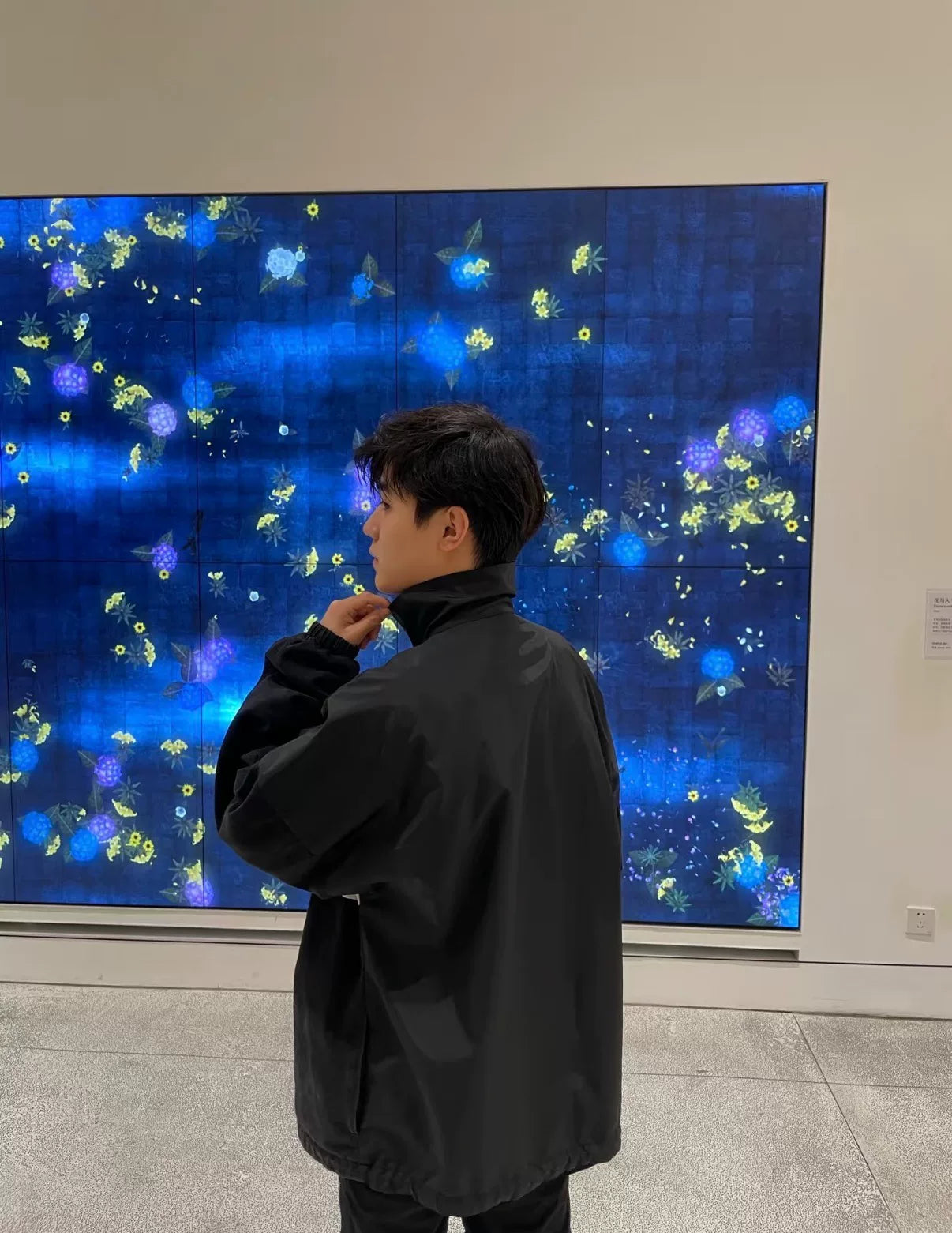 Balenciaga Print Denim Panel Shell Jacket