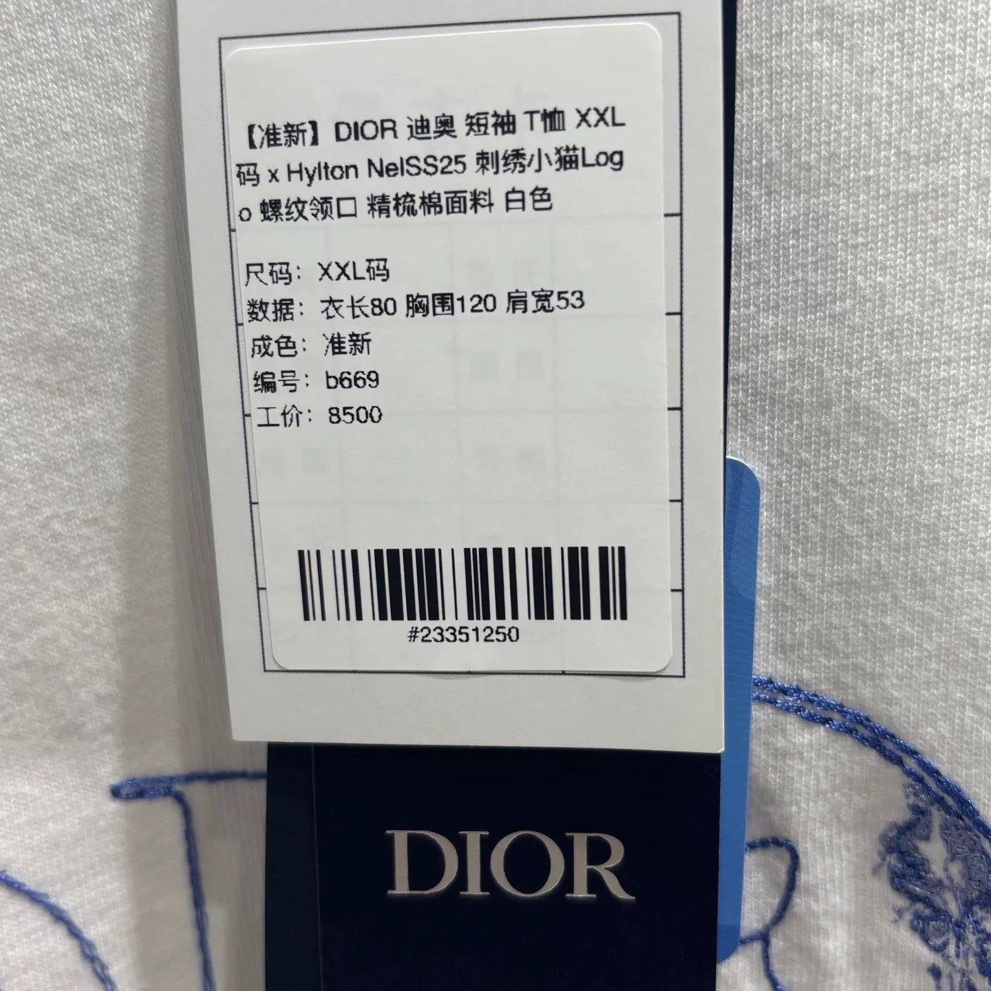 Dior SS25 X Hylton Nel Embroidered Logo Cotton White Short Sleeve T-Shirt