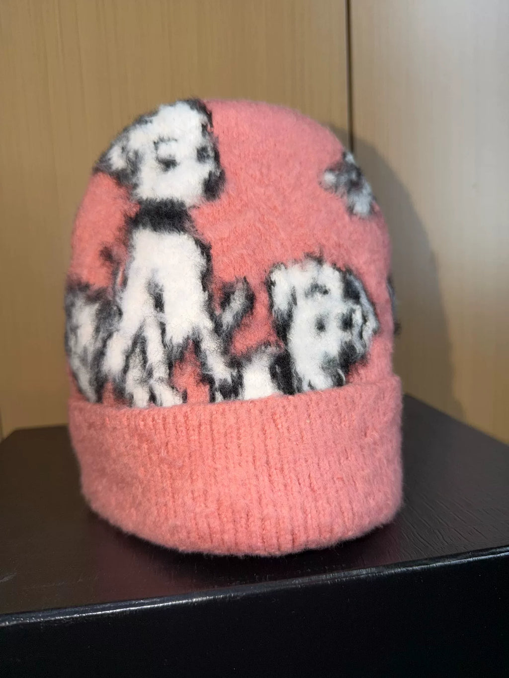 Celine SS22 Amy Dorian Knit Dog Beanie