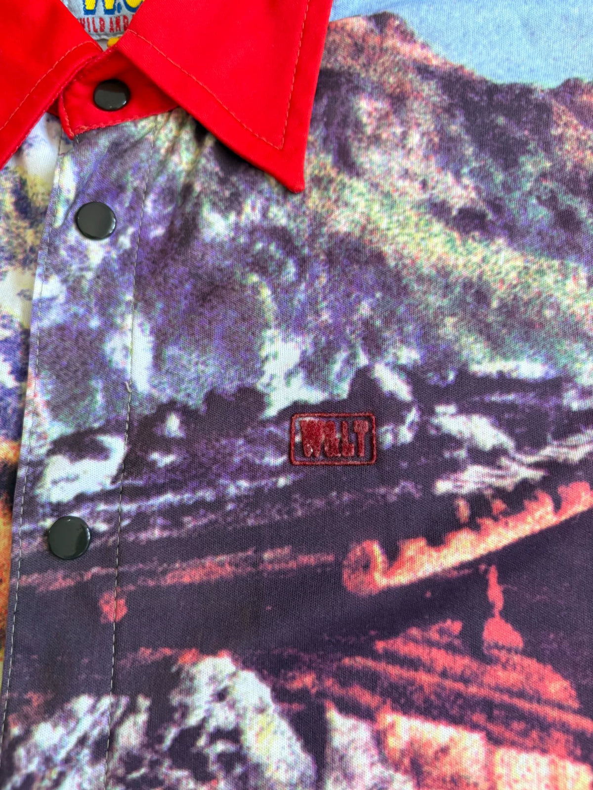 Walter Van Beirendonck signature style printed shirt