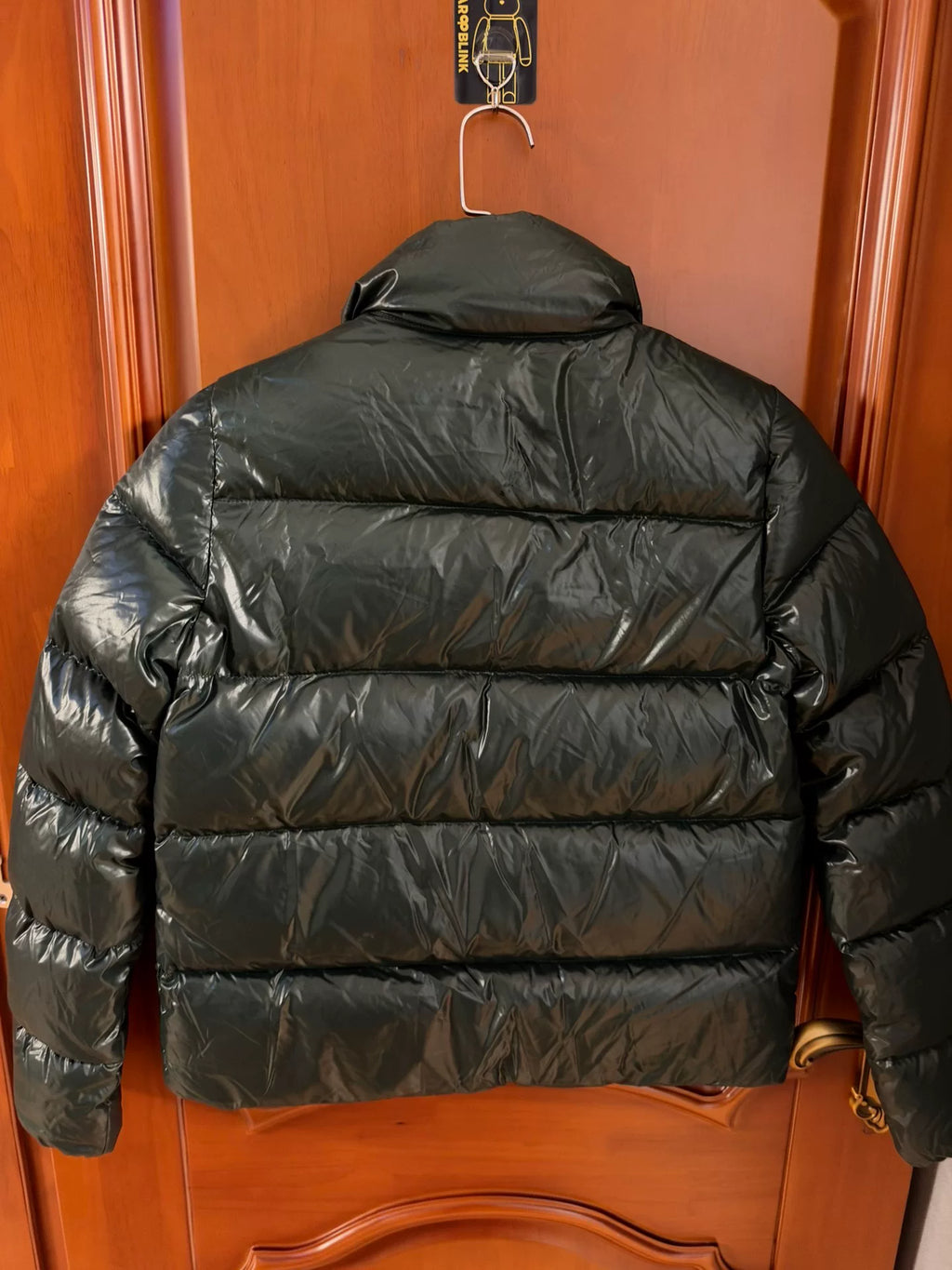 Moncler Brethil Dark Green Glossy Down Jacket
