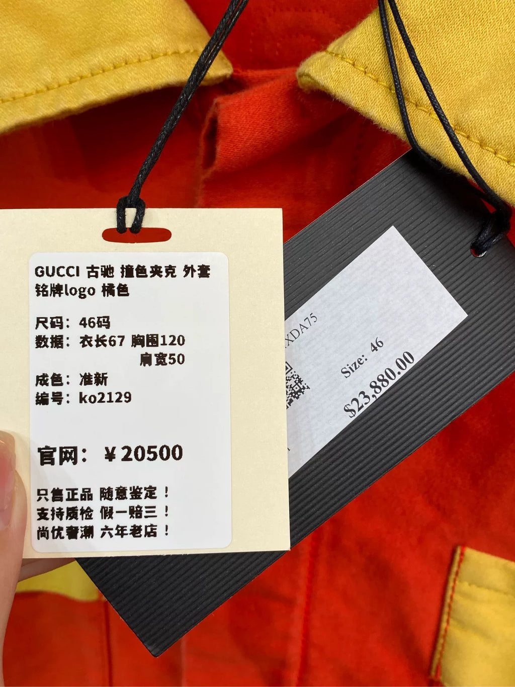 Gucci Color-Blocked Logo Jacket