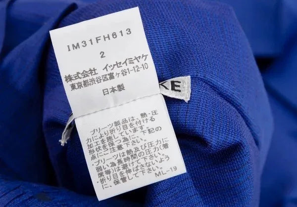 Issey Miyake Vintage Blue Line Dress