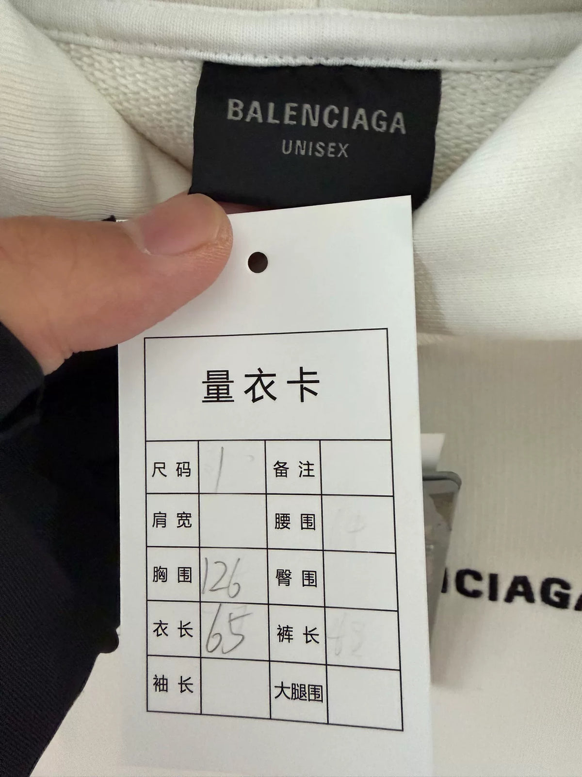 Balenciaga AW24 Embroidered Logo Hooded Sweater