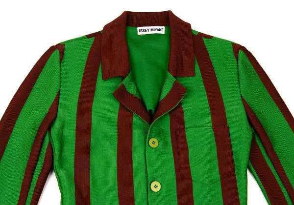 Issey Miyake Vintage Green Striped Top