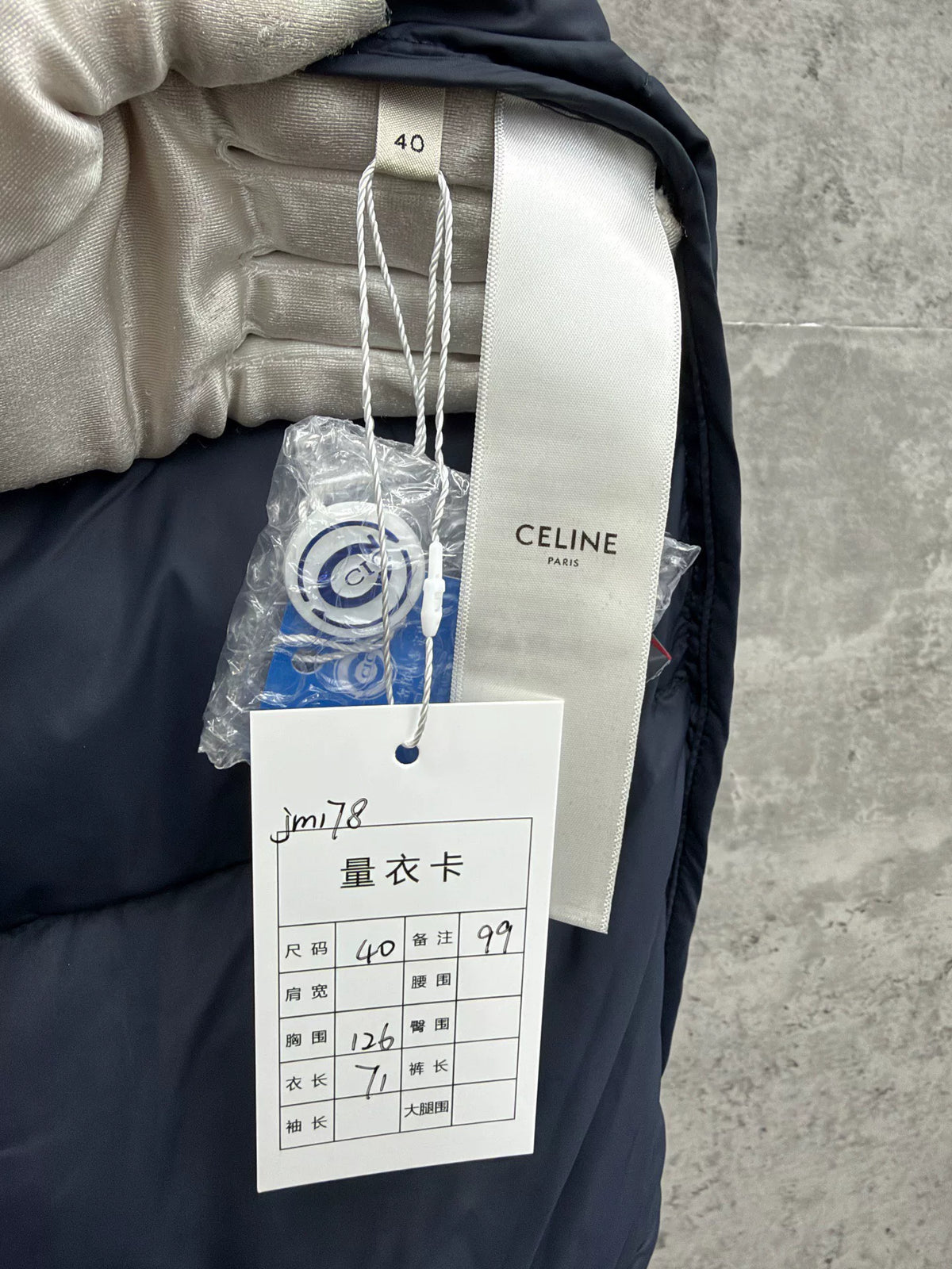 Celine Arc de Triomphe Hooded Down Jacket