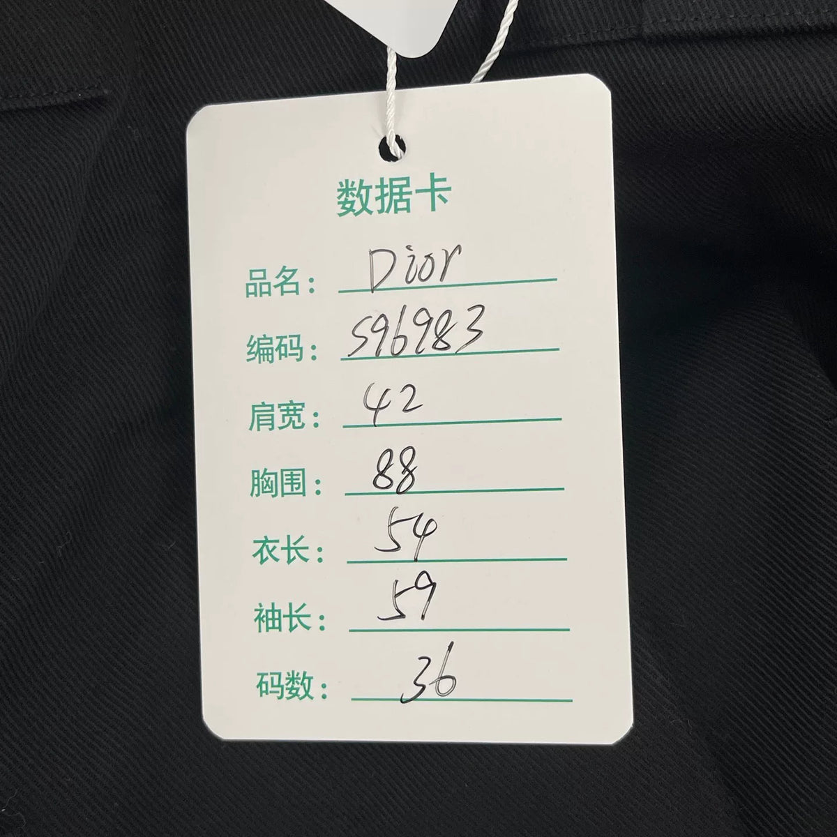 Dior Apollo Embroidered Jacket